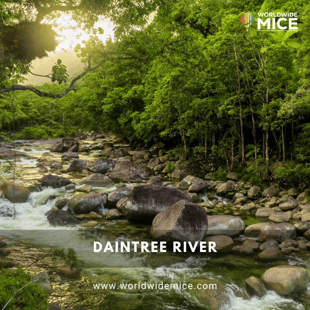 Daintree River